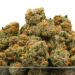 Grape Slushie THCa Flower Sativa