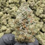 Green Crack THCa Flower — Sativa — 40.05% — Private Reserve - Image 2