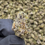 Hash Burger (S) - 34.98% THCa - S-EX - Image 2