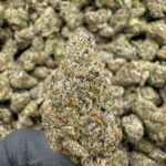 Hash Burger - 34.98% THCa - S-EX - Image 2
