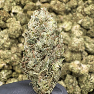 Headband - 26.55% THCa - LD - Image 2