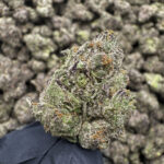 Laughing Buddha - 35.31% THCa - PR - Image 2