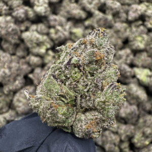 Laughing Buddha THCa Flower — Sativa — 35.31% — PR - Image 2