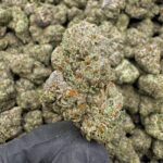 Lucid Dreams THCa Flower — Sativa — 33.28% — Super Exotic - Image 2