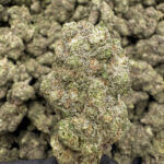 PTSD - 39.59% THCa - PR - Image 2