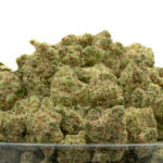 Peach Crescendo THCa Flower Indica