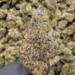 Purple Gumbo - 37.30% THCa - PR - Image 2