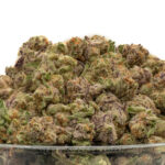 Red Runtz THCa Flower Hybrid