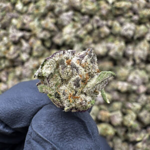 Red Runtz (S) THCa Flower — Hybrid — 38.34% — Super Exotic - Image 2