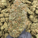 Sour Bananas - 36.11% THCa - PR - Image 2