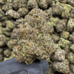 Sour Gas THCa Flower — Indica — 35.60% — Super Exotic - Image 2
