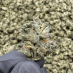 Sour Skittlez (S) - 27.13% THCa - EX - Image 2