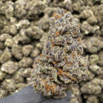 Super Cherry Sour - 35.42% THCa - S-EX - Image 2