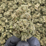 Tiramisu THCa Flower — Indica — 31.61% — Light Dep - Image 2
