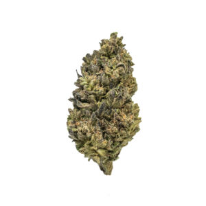 Turbo Glue THCa Flower Hybrid