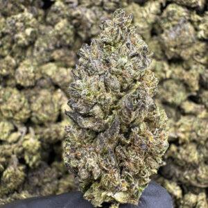 Turbo Glue THCa Flower Hybrid