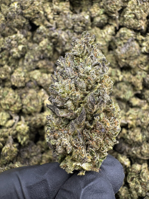 Turbo Glue THCa Flower Hybrid