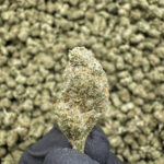 Walter White (S) - 37.86% THCA - S-EX - Image 2