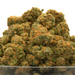 Zenergy THCa Flower Sativa