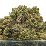 American Pie THCa Flower Sativa