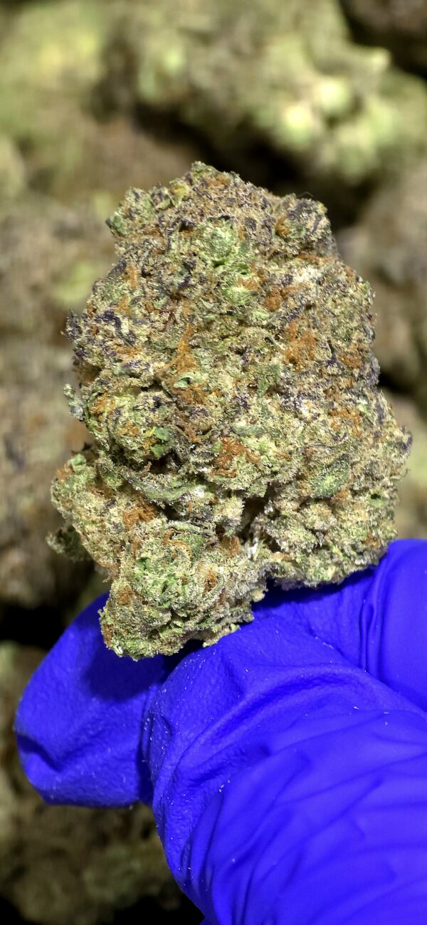 Galactic Gas THCa Flower Indica
