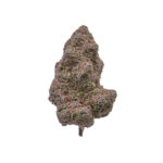 Gypsy Rose THCa Flower Indica