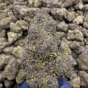 Gypsy Rose THCa Flower — Indica — 31.58% — EX LD - Image 2
