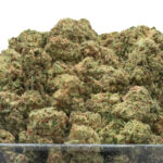 Hamma THCa Flower Indica
