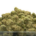 Ice Cream Man THCa Flower Indica