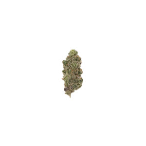 Jungle Cake THCa Flower Hybrid