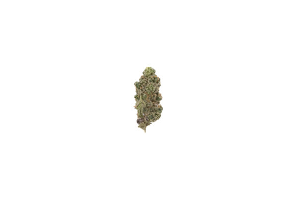 Jungle Cake THCa Flower Hybrid Jungle Cake THCa Flower Hybrid