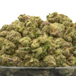 Pink Lobster Runtz THCa Flower Indica