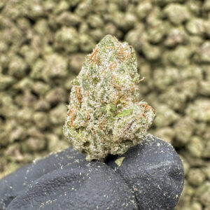 Pink Lobster Runtz THCa Flower Indica