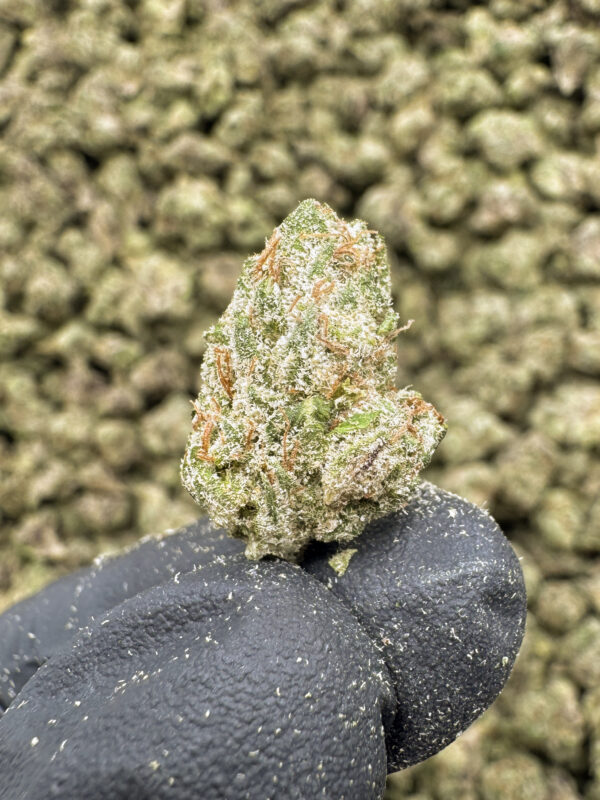 Pink Lobster Runtz THCa Flower Indica