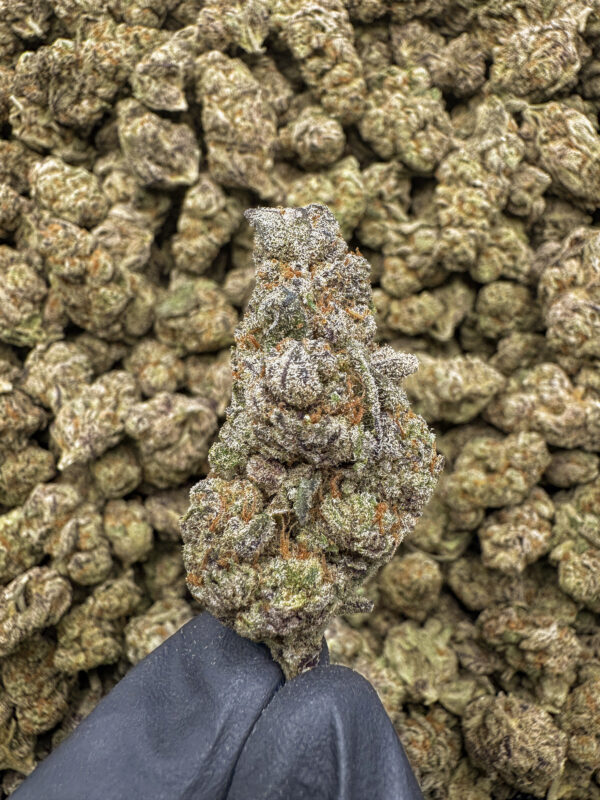 Purple Haze THCa Flower Sativa