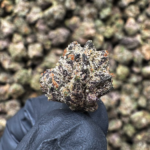 Candyland Kush (S) - 32.31% THCa - S-EX - Image 2