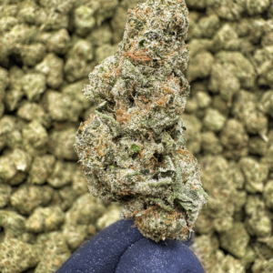 Money Maker THCa Flower — Indica — 36.62% — Super Exotic - Image 2
