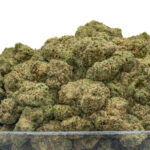 Sour Slushie THCa Flower Sativa