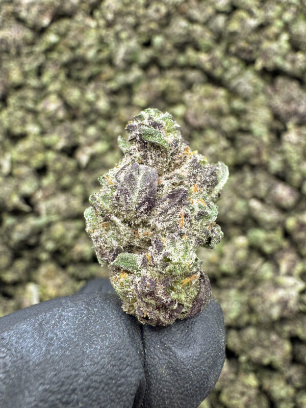 Space Jam THCa Flower Hybrid