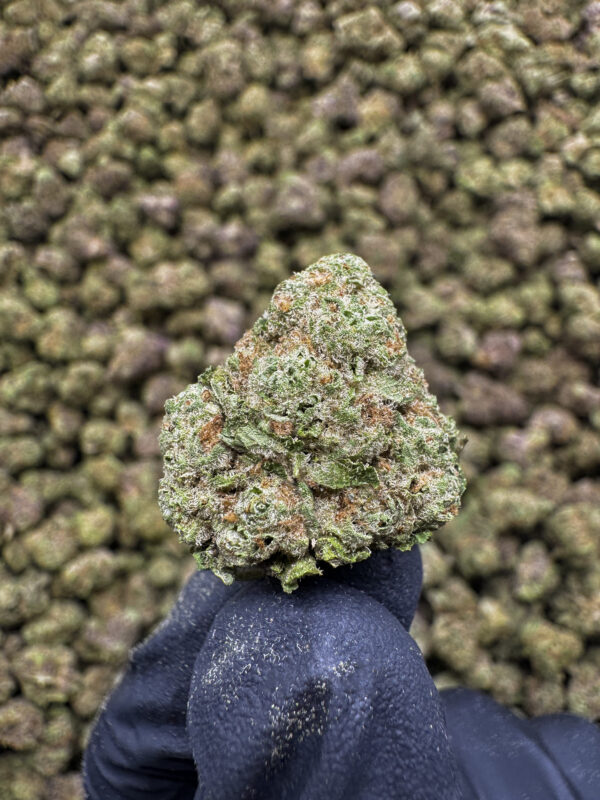 Blue Float THCa Flower Indica