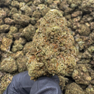Cinderella Man THCa Flower Sativa