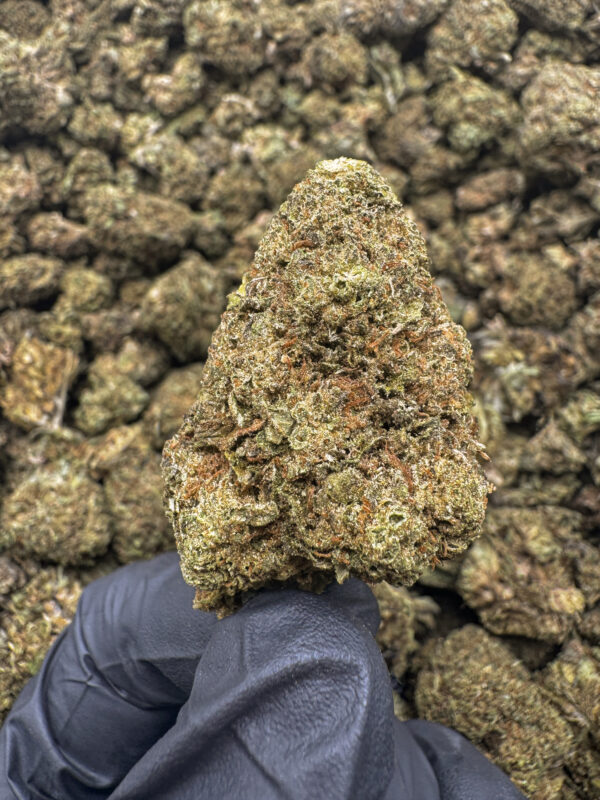 Cinderella Man THCa Flower Sativa