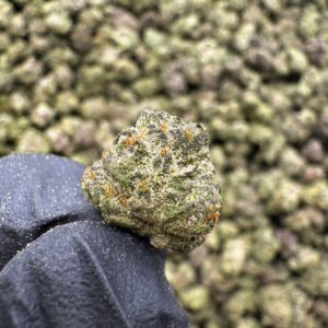 LA Kush THCa Flower Indica