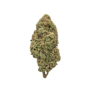 Wet Dream THCa Flower Sativa
