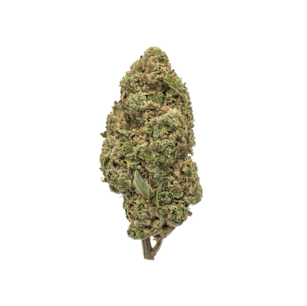 Wet Dream THCa Flower Sativa