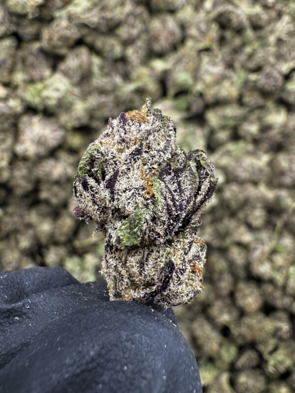 The Blues THCa Flower Hybrid