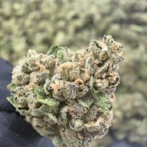 Biscotti x Jealousy Smalls THCa Flower