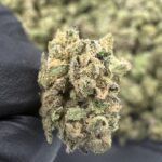 Designer Runtz Smalls THCa Flower