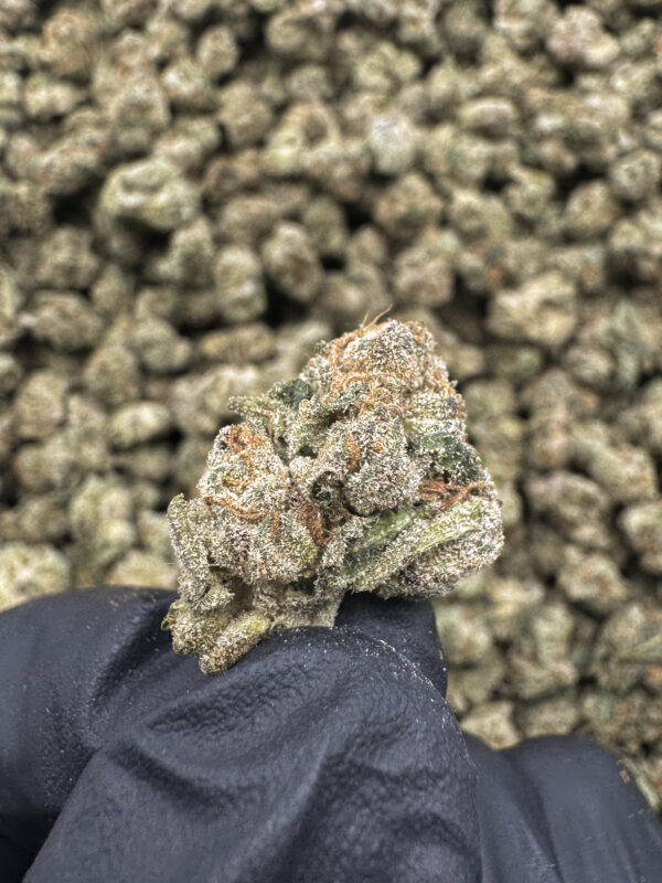 War Head THCa Flower War Head THCa Flower
